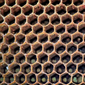 Test-Beehive-1